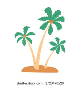 Palm trees with coconuts on the island isolated on a white background in a flat style. Vector illustration