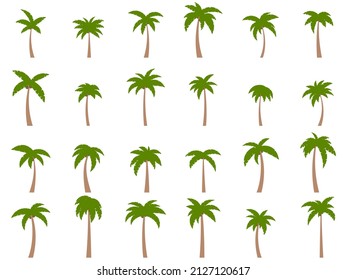 Palm trees with coconuts on a white background. Big set of tropical palm trees in different shapes and sizes for posters, banners and promotional items. Summer time. Vector illustration