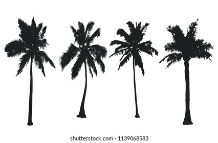 Palm trees collection. Set black silhouettes isolated on a white background. Vector illustration
