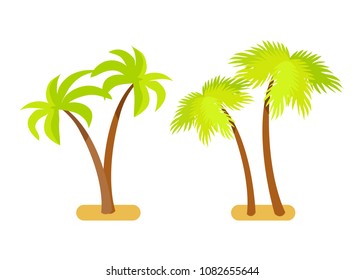 Palm trees collection tropical tre set with branches and leaves, natural exotic plants growing in sand vector illustration isolated on white background