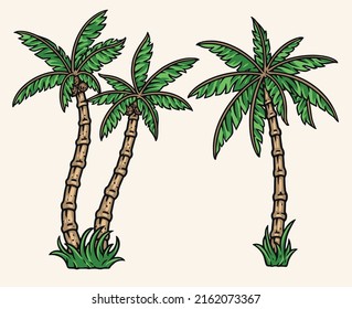 Palm trees colorful element vintage set with coconut palms and green branches on top symbolizing beach exoticism vector illustration