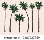 Palm trees colorful set labels with tropical trees for beach or ocean boardwalk invitation design vector illustration