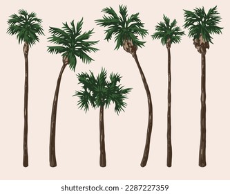 Etiquetas coloridas de palmeras con árboles tropicales para el diseño de la invitación a la playa o el paseo marítimo ilustración vectorial