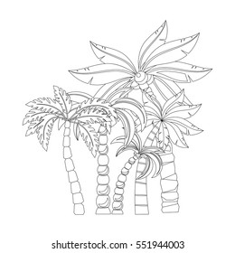 Palm trees for coloring book pages design, isolated on white background. Vector illustration.