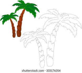 Palm trees coloring book. Vector illustration