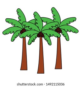 Palm trees design, Summer vacation tropical nature island and season theme Vector illustration