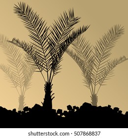 Palm trees detailed graphic silhouettes abstract nature background vector illustration