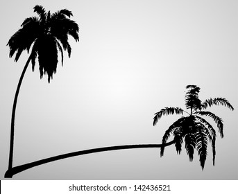 Palm Trees | EPS10 Vector