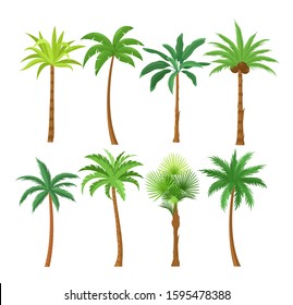 Palm trees flat vector illustrations set. Exotic beach plants isolated design elements pack. Green leaves branches and trunks cartoon collection on white background. Tropical coconut palms.