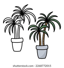 palm trees in a flower pot. coloring book page.