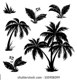 Palm trees, flowers and grass, black silhouettes on white background. Vector