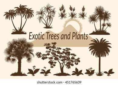 Palm Trees, Flowers and Grass Silhouettes