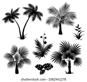 Palm trees, flowers and leaves, black silhouettes on white background. A set of isolated tropical plants. Vector illustration