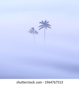 Palm trees. Foggy clouds. Fog waves. Morning mist. Natural landscape