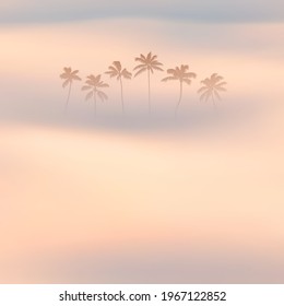 Palm trees. Foggy clouds. Fog waves. Morning mist. Natural landscape