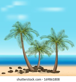 palm trees with green leaves by the sea