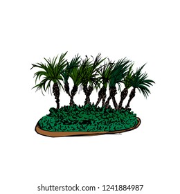 Palm trees group isolated on white background. Vector illustration. Hand drawn sketch.