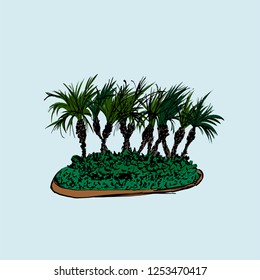 Palm trees group isolated on light background. Vector illustration. Hand drawn sketch.