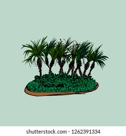 Palm trees group isolated on light background. Vector illustration. Hand drawn sketch.