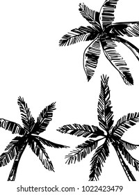 Palm trees. Hand drawn sketch. Vector illustration. 