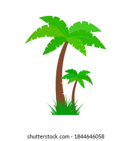 Palm trees icon isolate on white background.