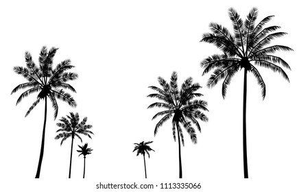 Palm trees icons. Set signs black silhouettes isolated tropical palms on a white background. Detailed symbols. Vector illustration