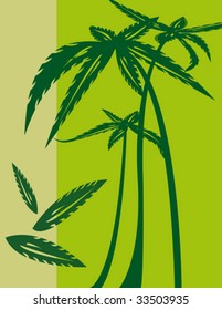 Palm trees illustration, vector
