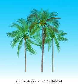 Palm trees isolated on background. Beautiful vectro palma tree set vector illustration