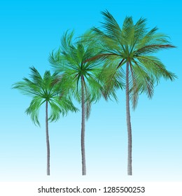 Palm trees isolated on background. Beautiful vectro palm tree set vector illustration