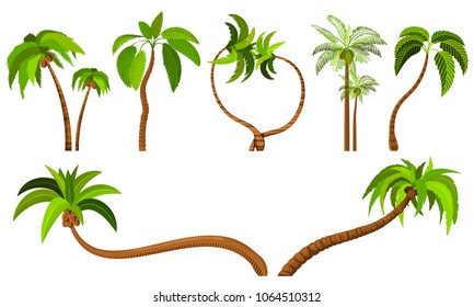 Palm trees isolated on white background. Beautiful vectro palm tree set vector illustration