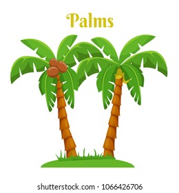 Palm trees isolated on white. Vector illustration