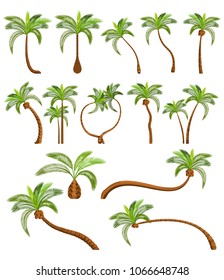 Palm trees isolated on white background. Beautiful vectro palma tree set vector illustration