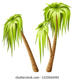 Palm trees isolated on white background. Elements location for computer games. Vector illustration.