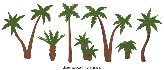 Palm trees isolated on white background. Vector illustration