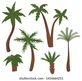 Palm trees isolated on white background. Vector illustration