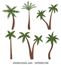 Palm trees isolated on white background. Vector illustration