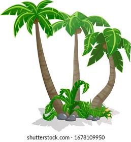 Palm trees isolated on white background.