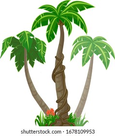 Palm trees isolated on white background.
