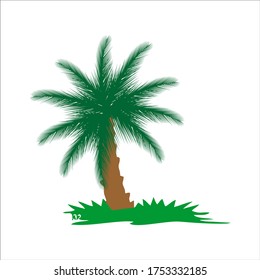 Palm trees isolated on white background. Beautiful vector palm tree vector illustration