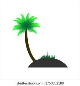 Palm trees isolated on white background. Beautiful vector palm tree vector illustration