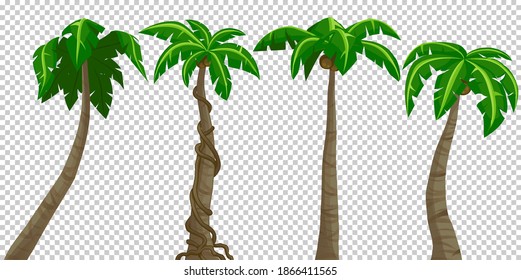 Palmeras aisladas de fondo blanco.
