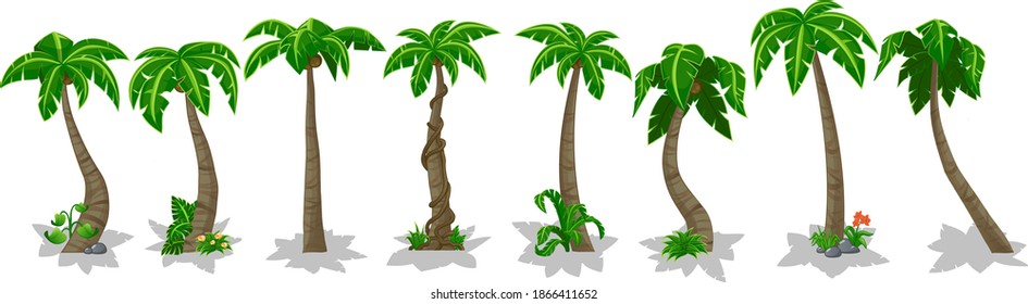 Palm trees isolated on white background.