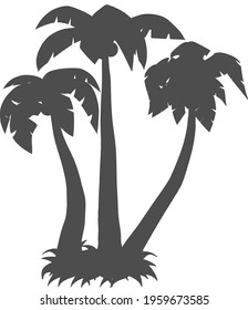 Palm trees isolated on white background.