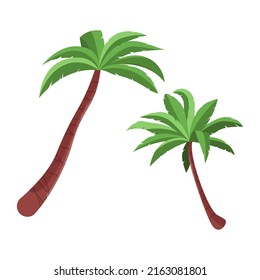 Palmeras aisladas de fondo blanco. Plantas tropicales con hojas verdes. Ilustración vectorial plana