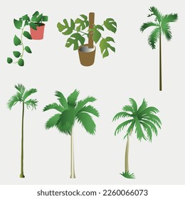 Palmeras aisladas de fondo blanco. Hermosa ilustración vectorial de árbol.