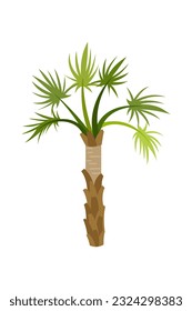 Palm trees are isolated on white background. Beautiful palm tree illustration. Coconut tree illustrations