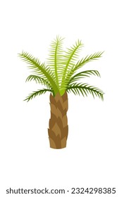 Palm trees are isolated on white background. Beautiful palm tree illustration. Coconut tree illustrations