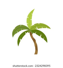 Palm trees are isolated on white background. Beautiful palm tree illustration. Coconut tree illustrations