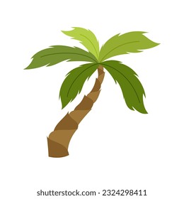 Palm trees are isolated on white background. Beautiful palm tree illustration. Coconut tree illustrations