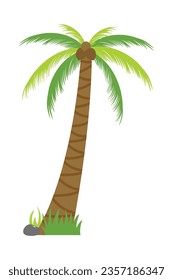 Palm trees isolated on white background. Beautiful vectro palma tree set vector illustration